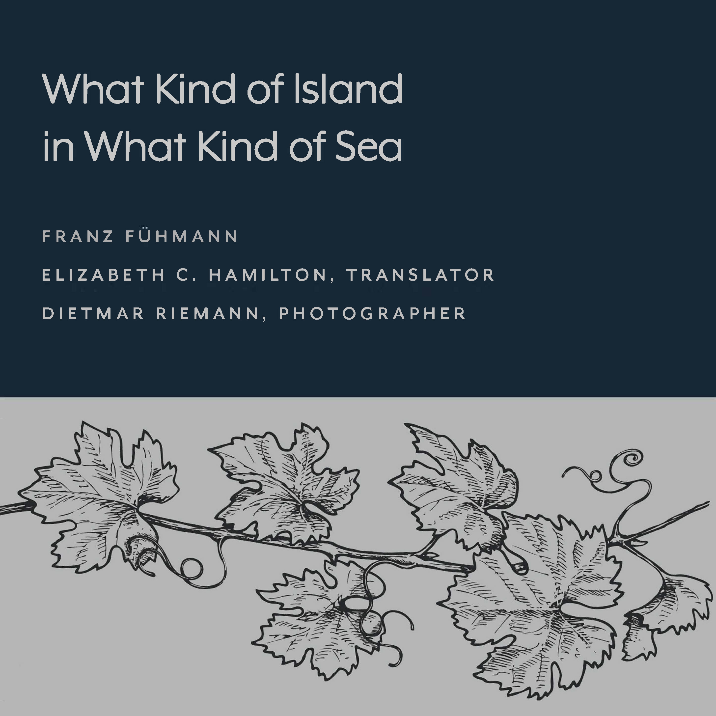 cover of What Kind of Island in What Kind of Sea